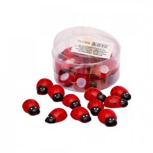 Set 25 buburuze mari din lemn pentru decor - ROC 0762