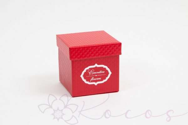Cutie din carton cu capac, h10cm, lat 10cm, rosu