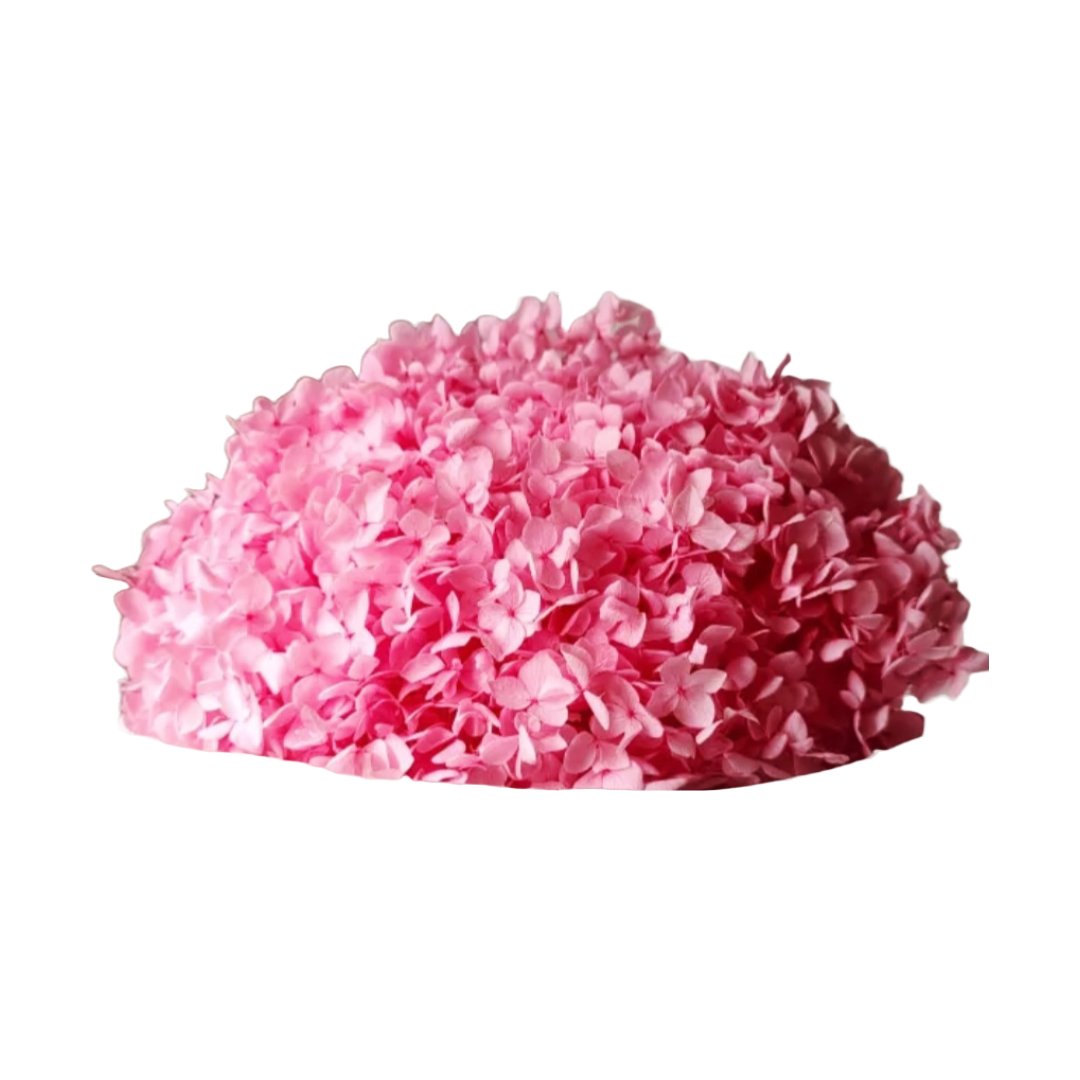 ROC FD 12 Hortensie Criogenat Cutie Culoare Roz Rocos ro roc-fd-12-hortensie-criogenat-cutie-culoare-roz-rocos-ro