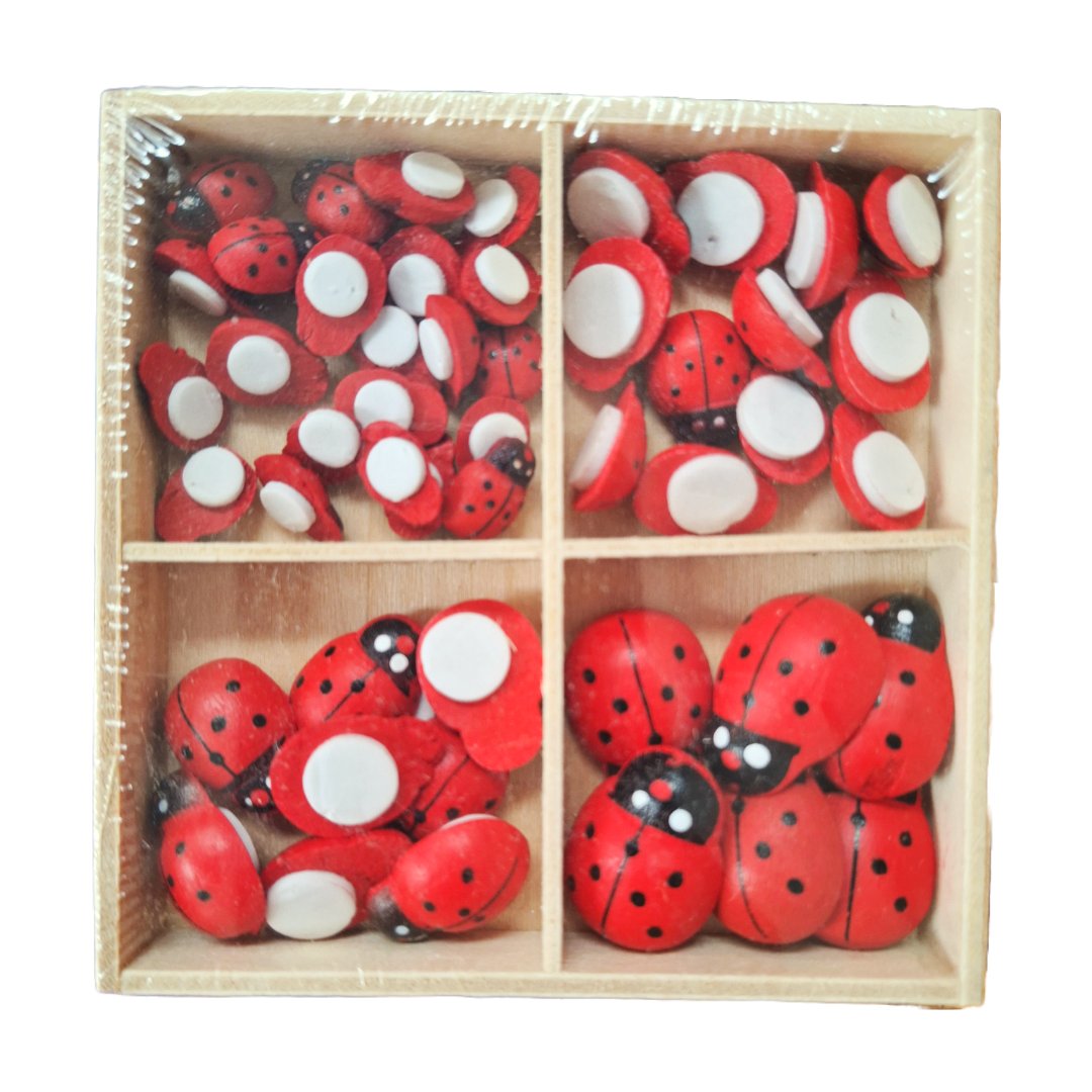 2023/08/1000011080.jpg Buburuze din lemn pentru decor - ROC 0760 - imagine 1