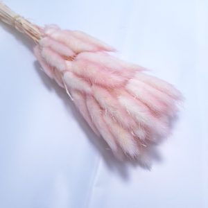 Buchet Lagurus, culoare roz cu crem - ROC FD 8