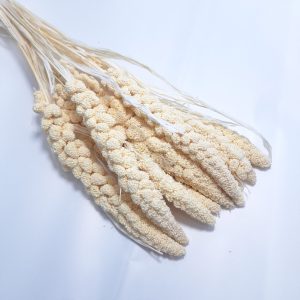 Buchet Ciumiza, culoare alb - ROC FD 4