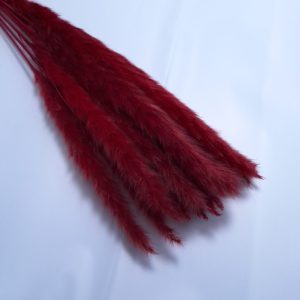 Buchet mini pampas, culoare grena - ROC FD 7