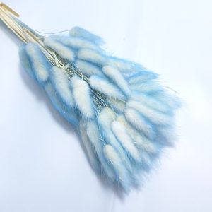 Buchet Lagurus, culoare blue cu crem - ROC FD 8