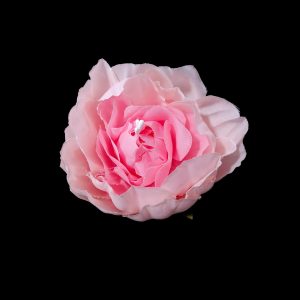 Set 25 capete flori model 1, culoare roz - ROC AF21