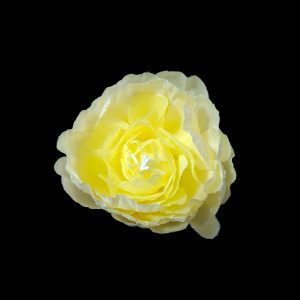 Set 25 capete flori model 1, culoare crem - ROC AF21