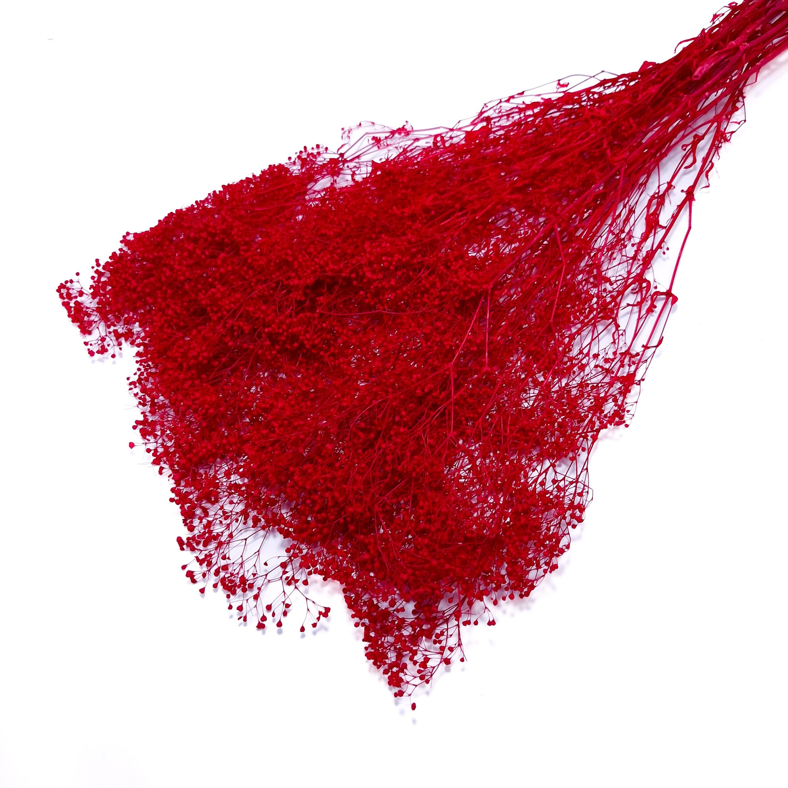 FD42RED.jpg Broom bloom 60 grame, culoare roșu - ROC FD 42 - imagine 1