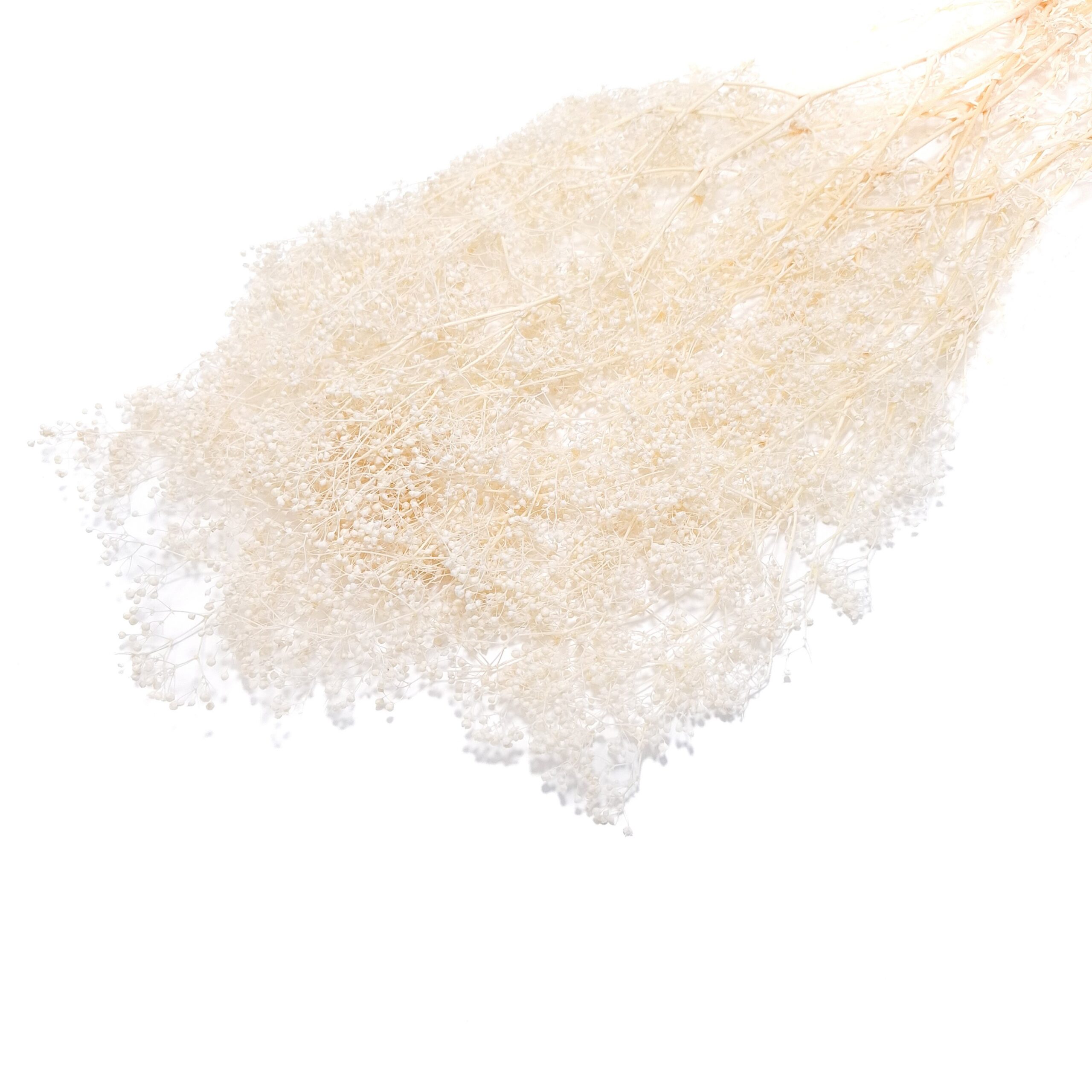 FD42WHITE.jpg Broom bloom 60 grame, culoare alb - ROC FD 42 - imagine 1