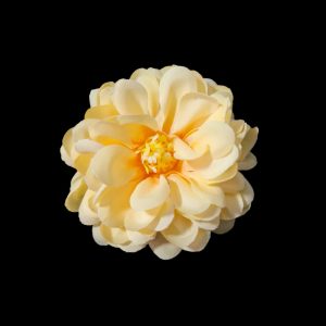 Set 100 capete flori model 1, culoare alb - ROC AF23