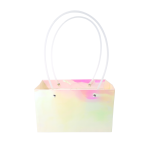 Set 10 pungi ”RAINBOW” pentru aranjamente florale - ROC A93