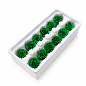 Set 12 trandafiri criogenati, culoare verde NR. 33 - ROC M28